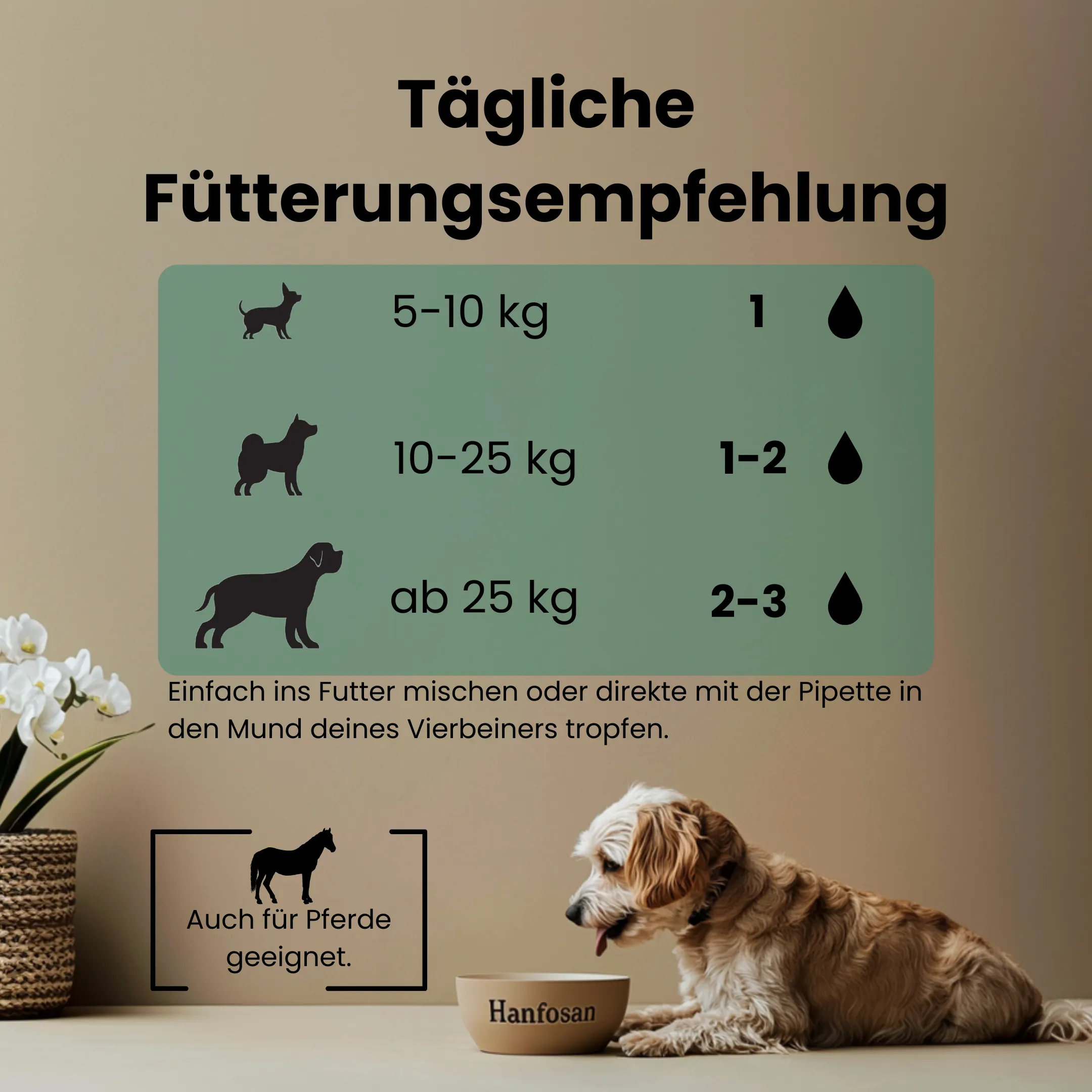 CBD Öl Hunde 20 Prozent FÜtterungsempfehlung 1 