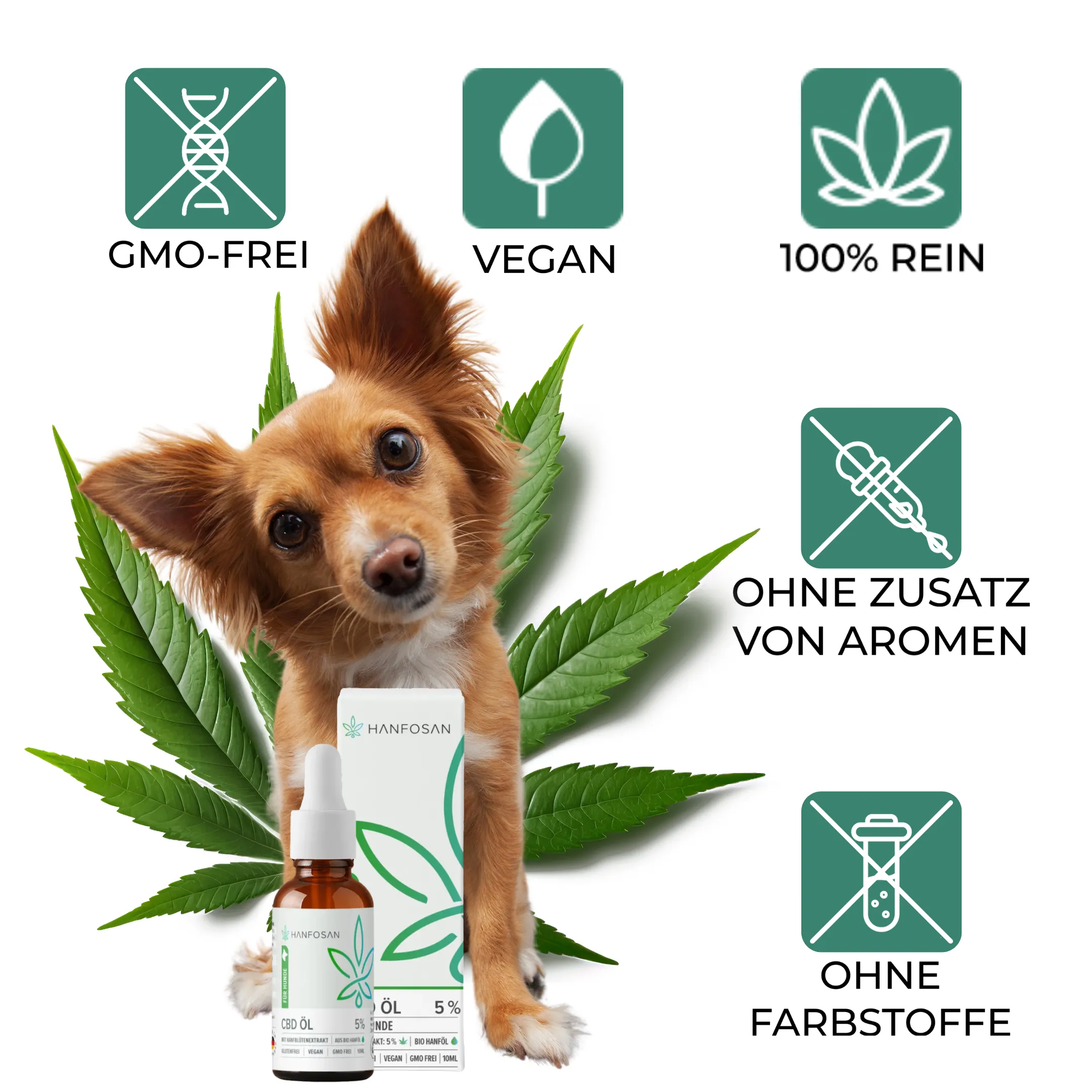 CBD Öl Hunde 5 Prozent Icons