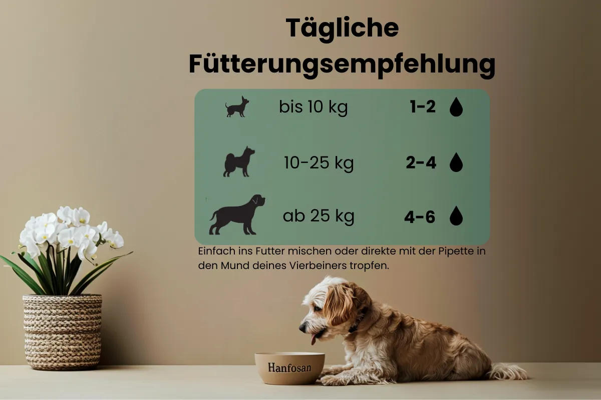  CBD Öl Hunde 5 Prozent FÜtterungsempfehlung  600x400