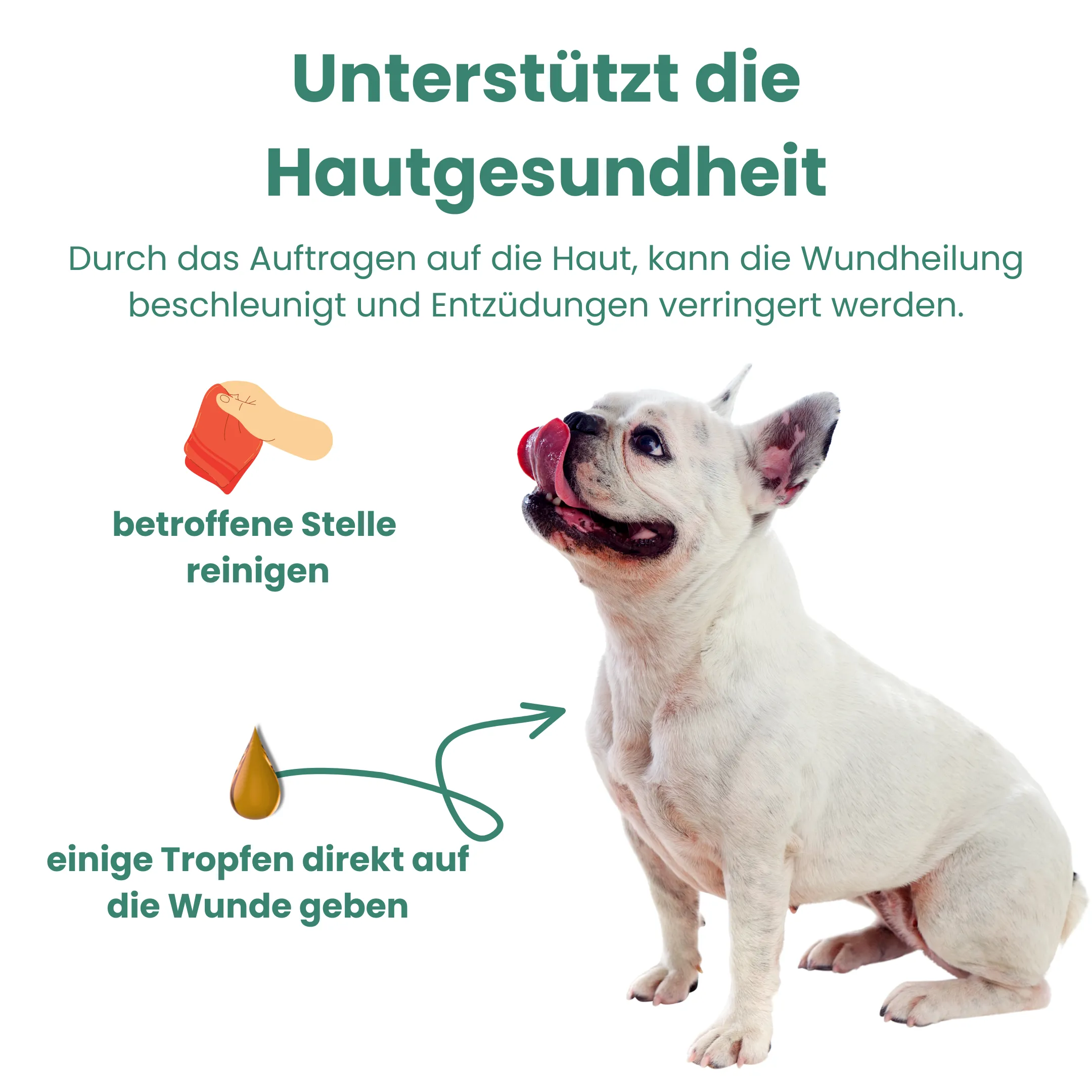 CBD Öl Hunde 10 Prozent Hautgesundheit 