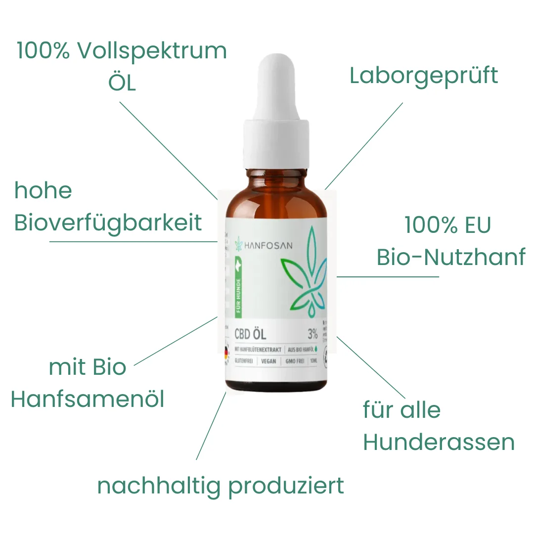 CBD Öl Hunde 3 Prozent Vorteile