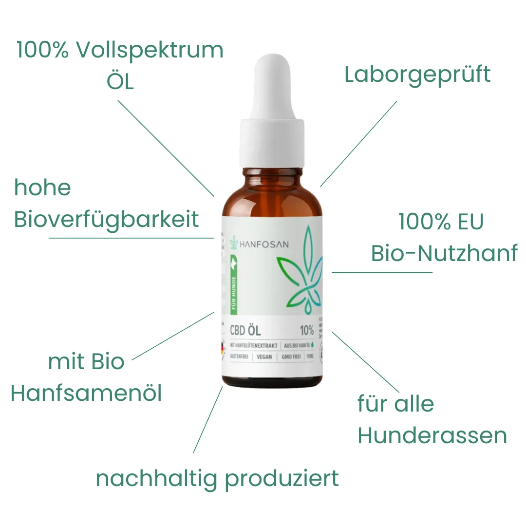 CBD Öl Hunde 10 Prozent Vorteile