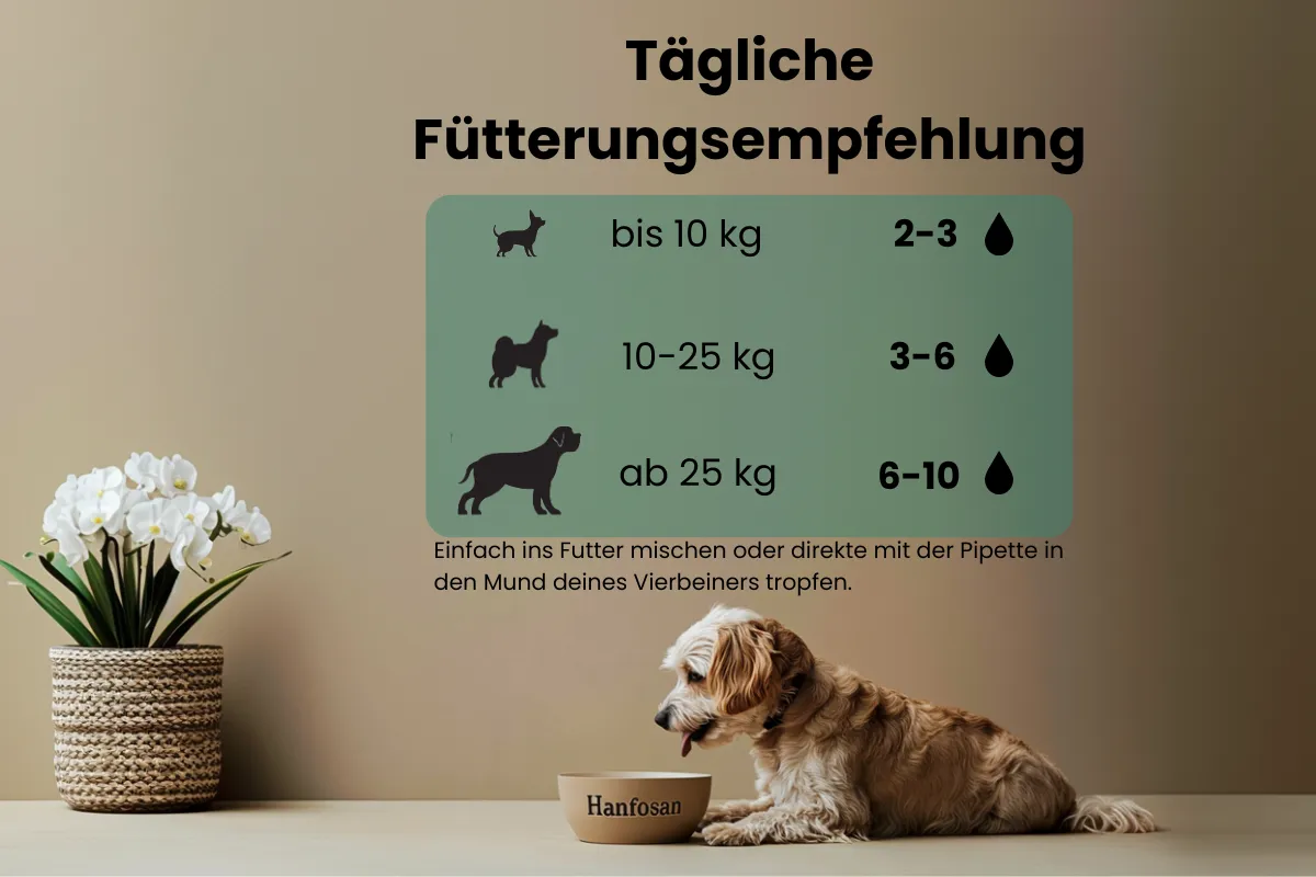 CBD Öl Hunde 3 Prozent FÜtterungsempfehlung 600x400