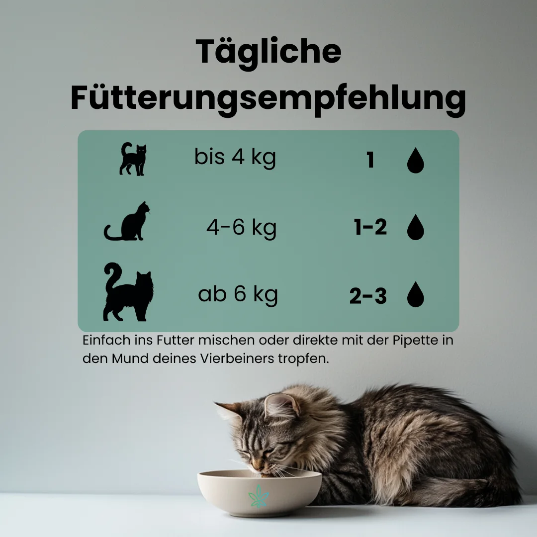 CBD Öl Katzen 5 Prozent FÜtterungsempfehlung 