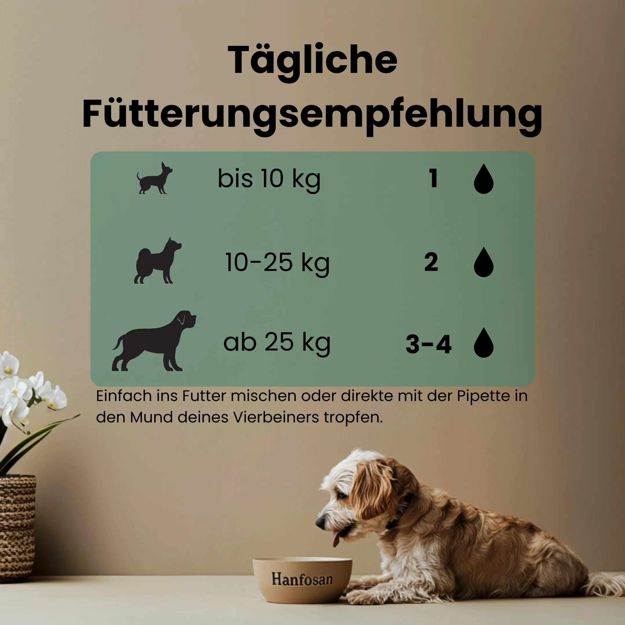 CBD Öl Hunde 10 Prozent FÜtterungsempfehlung 1