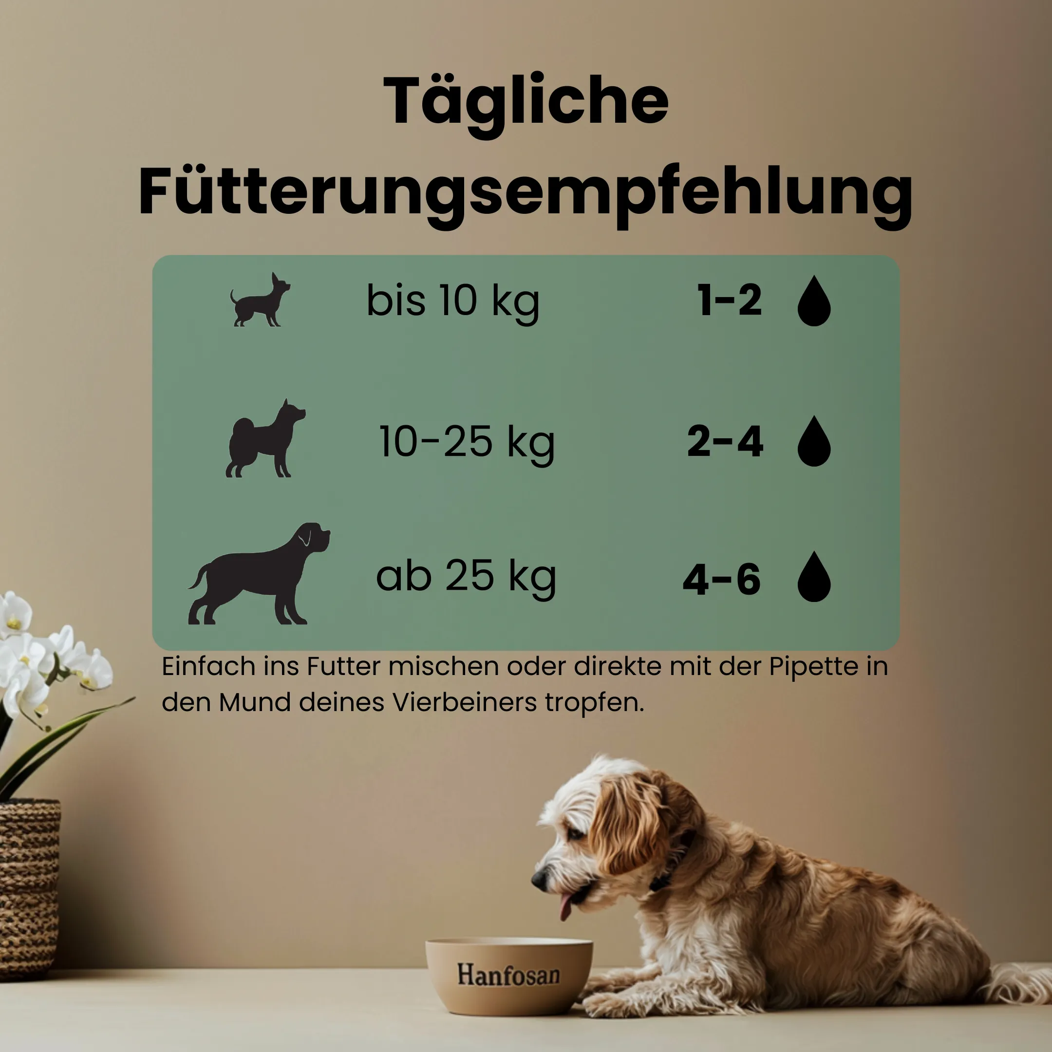 CBD Öl Hunde 5 Prozent FÜtterungsempfehlung 1