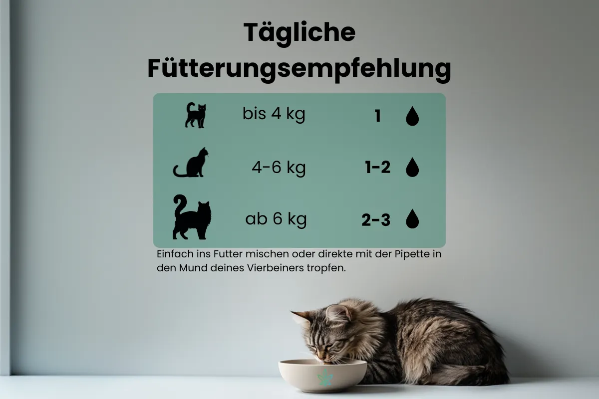 CBD Öl Katzen 5 Prozent FÜtterungsempfehlung  600x400