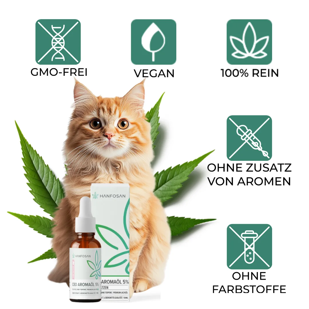 CBD Öl Katzen 5 Prozent Icons